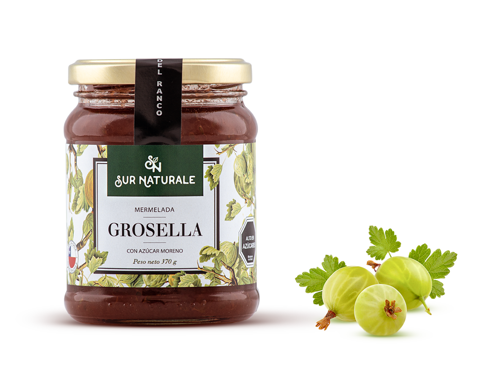 mermelada grosella1024x768